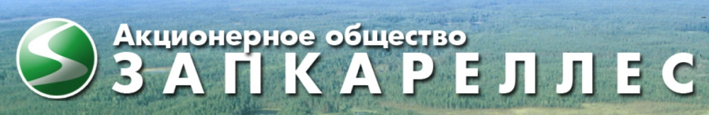 Партнер 15
